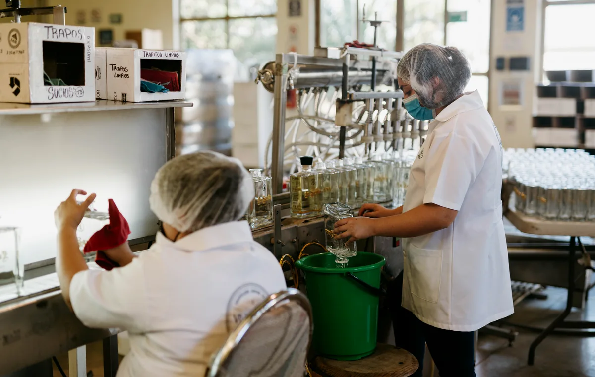 Bottle preparation & feeding in production